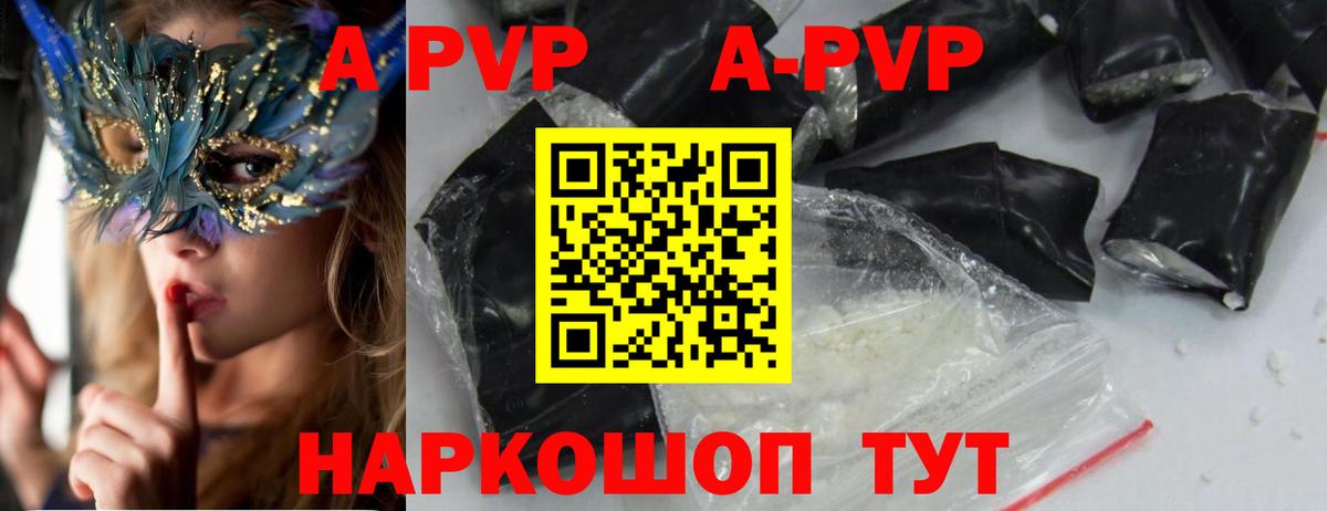 Alfa_PVP СК Пенза