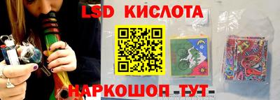 ГАЛЛЮЦИНОГЕННЫЕ ГРИБЫ Новозыбков