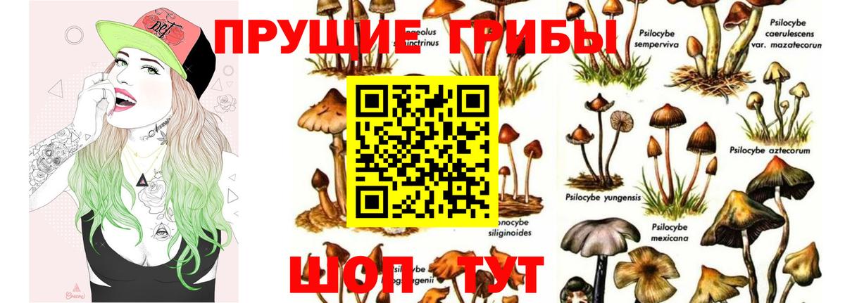 Псилоцибиновые грибы MAGIC MUSHROOMS Пенза
